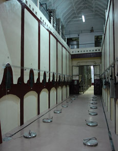 Secci&oacute;n Bodega